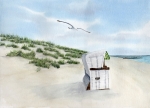 Postkarte DIN-A5 Strandkorb Möwe - GM5